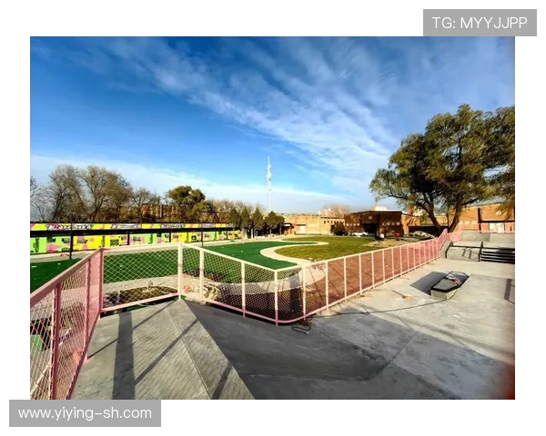 滑板战术解析:深入探讨北京滑板队的创新进攻体系与战术布局