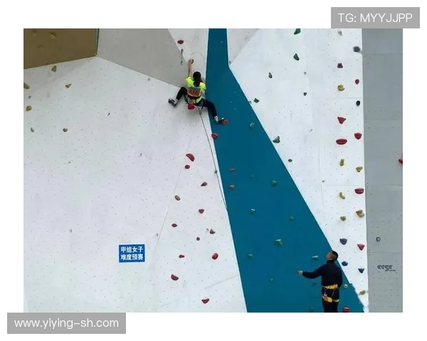 南京攀岩队心理素质提升之路探讨与热议